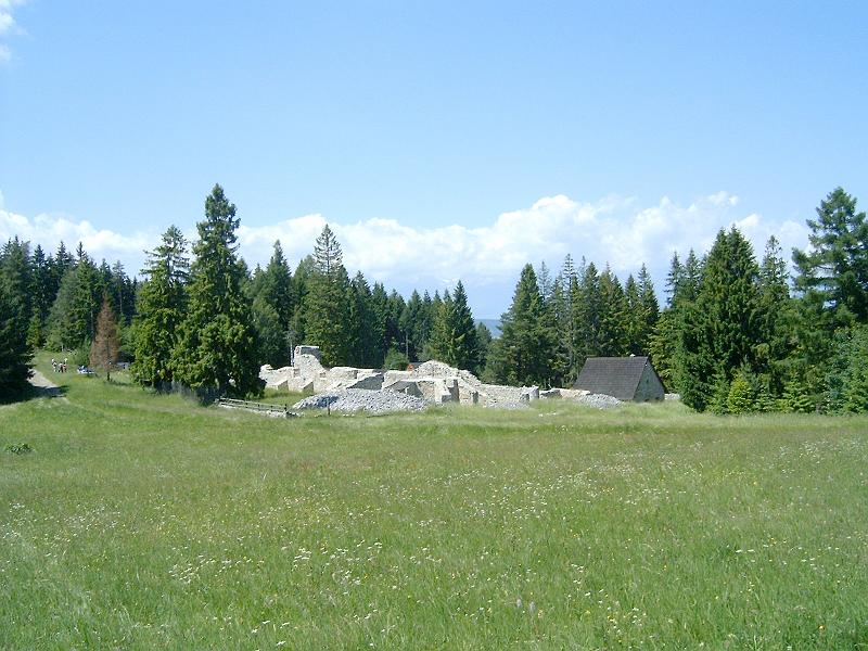 20120616 025.jpg